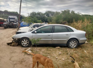 * TAPIZADO DE PUERTA TRASERA IZQUIERDA CITROEN C5 2005 - 243.35